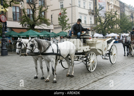 Pferdekutsche Kutsche warten in Rynek Glowny Grand Square Krakau Polen Stockfoto