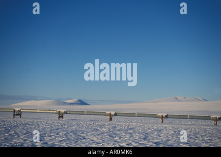 Trans-Alaska-Pipeline entlang den Nordhang der Brooks Range zentralen arktischen Küste von Alaska Stockfoto