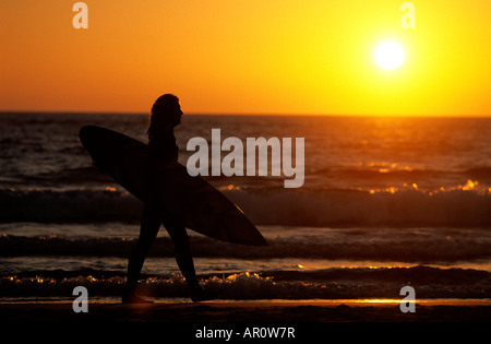 Eine Surfer Spaziergänge an einem Strand der Algarve im Süden Portugals scannen den Atlantischen Ozean bei Sonnenuntergang für eine letzte Welle Stockfoto