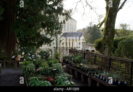 Garten-Shop Centre Aberglasney Gärten und Haus in der Tywi Tal Carmarthenshire Wales UK Stockfoto