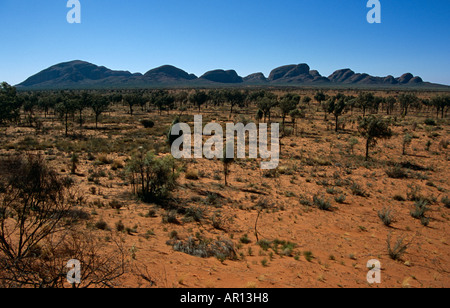 Die Olgas, Kata Tjuta, Kata Tjuta Nationalpark, Northern Territory, Australien. Abendlicht Stockfoto