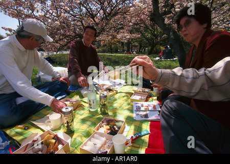Kirschbluete, Picknick, Imperial Palace Park Kyoto, Japan Stockfoto