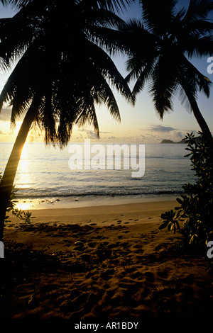 Palmen über einsam am Strand auf den Seychellen. Die kleinen Wolken bieten Linderung bei Sonnenuntergang, wie die Flut rollt. Stockfoto