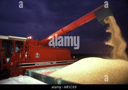 Weizenernte, Kansas, USA Stockfoto