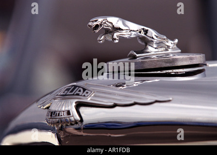 Jaguar Kühlerfigur Stockfoto