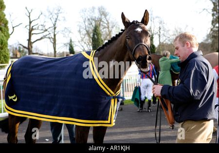 Lingfield Park Pferd Rennstrecke 2. Februar 2008 Stockfoto