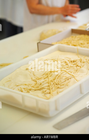 Pastaherstellung frische Pici in Toskana, Italien Stockfoto