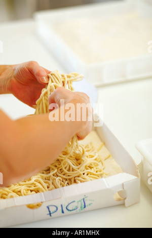 Frischen Pasta zu machen, in der Toskana, Italien Stockfoto