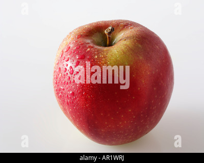 Ganz roten Apfel - Braeburn Stockfoto