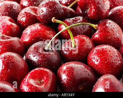 Cherrie rot mit Stiel mit Wassertropfen Stockfoto