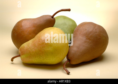 immer noch gemischt Leben Bild einer Gruppe von 4 vier Birnen Bosc Anjou Bartlett Stockfoto