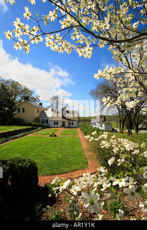 Garten, Asche Rasen-Hochland, Charlottesville, Virginia, USA Stockfoto