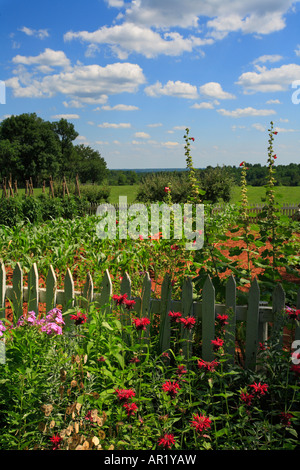 Gemüsegarten, Asche Rasen-Hochland, Charlottesville, Virginia, USA Stockfoto