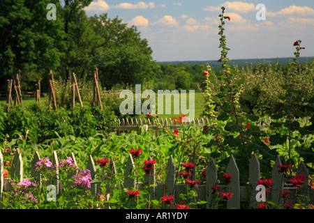 Gemüsegarten, Asche Rasen-Hochland, Charlottesville, Virginia, USA Stockfoto