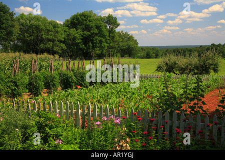 Gemüsegarten, Asche Rasen-Hochland, Charlottesville, Virginia, USA Stockfoto