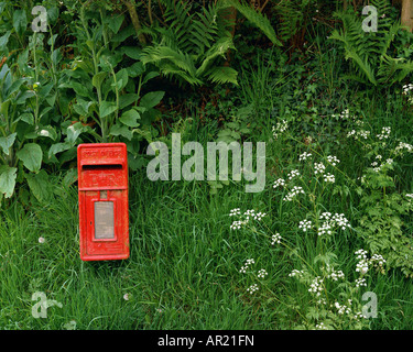 GB - ISLE OF WIGHT: Briefkasten in der Nähe von Godshill Stockfoto