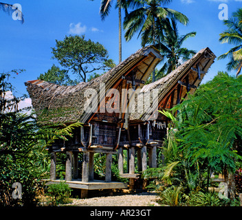 LEMO Tana Toraja Sulawesi Celebes Tau tau Stockfoto