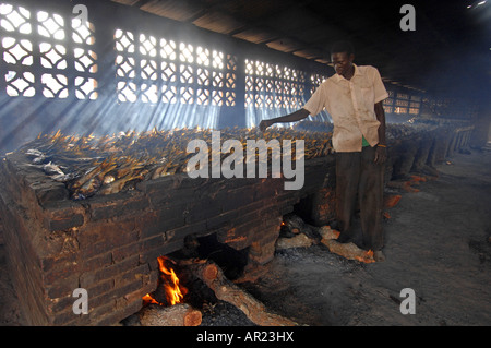 Fisch geräuchert, Tanji, Gambia, Westafrika Stockfoto