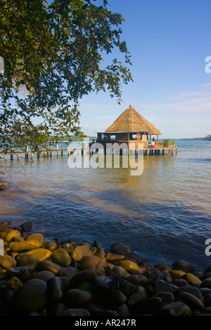 Der eingelegte Papagei Bar auf Careneros Insel Bocas Del Toro Panama Stockfoto