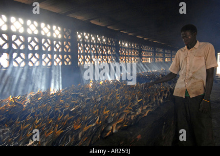 Fisch geräuchert, Tanji, Gambia, Westafrika Stockfoto