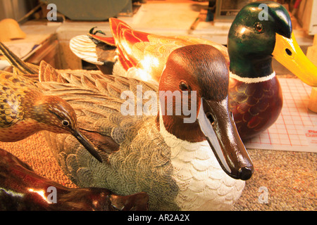 Lockvögel in Artist Studio, Lexington, Shenandoah Valley of Virginia, USA Stockfoto