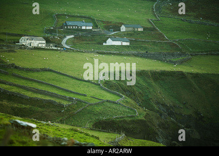 Häuser mit Blick auf den Hafen in Slea Head Dingle Halbinsel County Kerry Republik Irland Europa Stockfoto