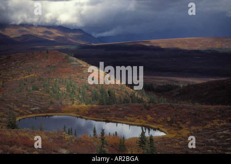 Wasserkocher-Teich und Herbst Farben innen Denali Nationalpark in Alaska Stockfoto