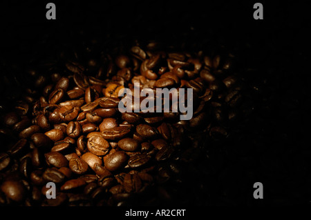 Arabica Kaffeebohnen im Dunkeln Stockfoto