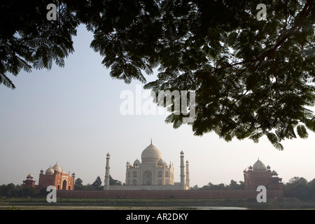 Das Taj Mahal gesehen aus den Gärten der Mehtab Bagh Stockfoto