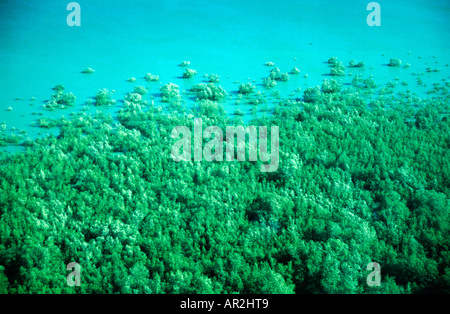 Antenne, Mangroove, Karumba, Gulf of Carpentaria Queensland, Australien Stockfoto