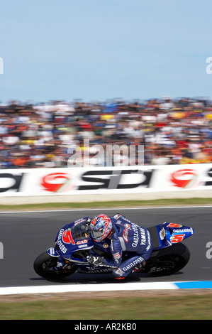 Colin Edwards USA Gouloises Yamaha Polini Australian Grand Prix Phillip Island Moto GP 2005 Motorcyle Rennen Australien Stockfoto