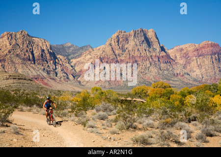 Mountainbiken auf die Cottonwood Valley Trail System Red Rock Canyon Conservation Area in der Nähe von Las Vegas Nevada Herr Stockfoto