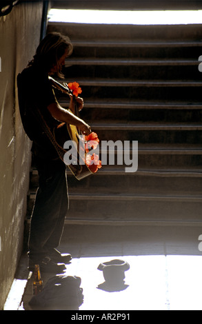 Straßenmusiker mit Gitarre und sonnenbeschienenen rote Blumen, Strand-Unterführung in Simons Town, in der Nähe von Kapstadt, Western Cape, Südafrika Stockfoto