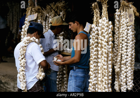 Knoblauch in Hülle und Fülle, Markt in Camagüey, Kuba. Stockfoto