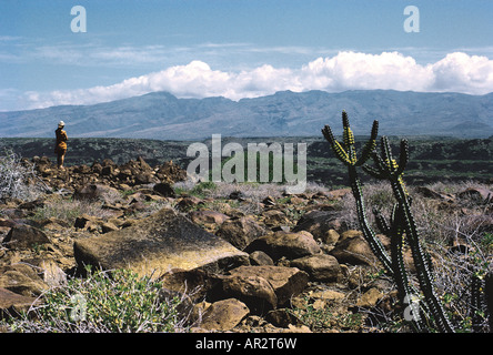 Mount Kulal gesehen von ein paar Meilen südlich von Loiengalani nördlichen Kenia in Ostafrika Stockfoto