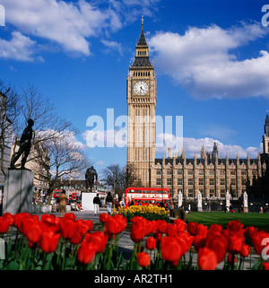 London, Big Ben mit roten Tulpen in Parliament Square, Westminster, England, UK, GB Stockfoto