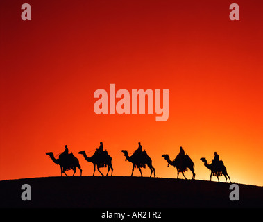 Kamel Zug bei Sonnenuntergang, Ägypten, Nord-Afrika, Sahara Wüste Stockfoto