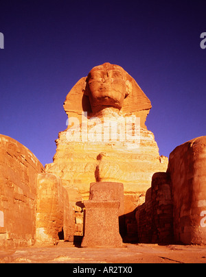 Die Sphinx, Ägypten, bei Sonnenaufgang Gizeh, Kairo, Ägypten. Nahaufnahme aus der Vogelperspektive, der Traumstele und der Sphinx zwischen den Pfoten Stockfoto
