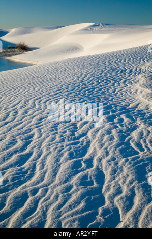 Gips Sanddünen, White Sands National Monument, New Mexico USA Stockfoto