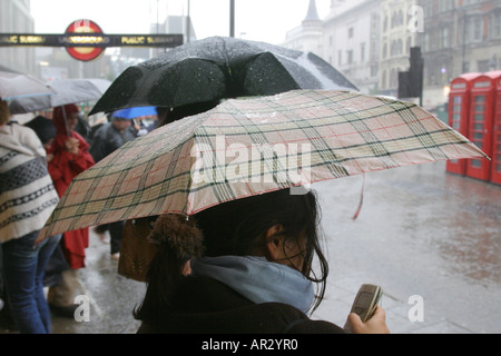 Eine Frau prüft ihr Mobiltelefon einen Regenschirm halten, während ein starker Regenguss Regen, Tottenham Court Road, London, UK. 2006. Stockfoto