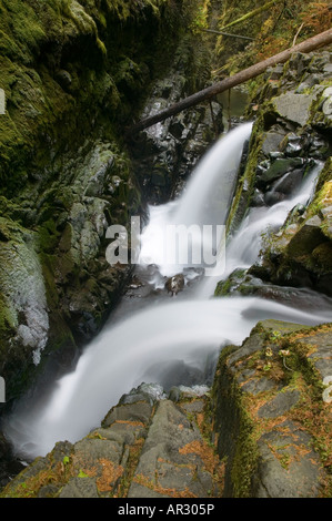 Sol Duc fällt, Olympic Nationalpark, Washington USA Stockfoto
