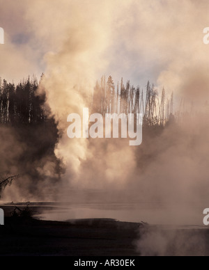 Dampf im Norris Geyser Basin, Yellowstone-Nationalpark, Wyoming, USA Stockfoto
