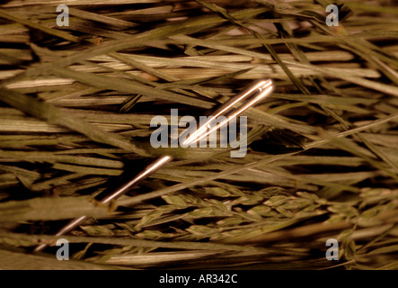 Nadel im Haystock h Stockfoto