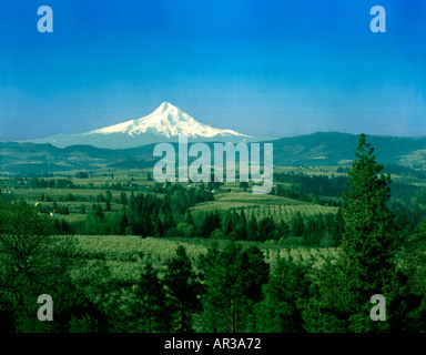 Schneebedeckten Mount Hood blickt hinunter auf die blühenden Apfelplantagen und grünen Wiesen der Hood River Valley in Oregon Stockfoto