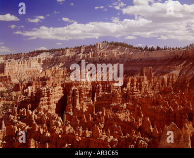 Bryce Canyon Nationalpark Utah USA Stockfoto