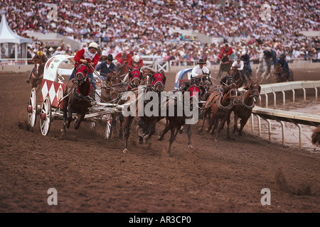 Chuckwagon Rennen, Calgary Stampede, Alberta, Kanada, Nordamerika, Amerika Stockfoto