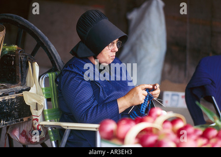 Mennoniten am Bauernmarkt, in der Nähe von St. Jacobs, Kanada Stockfoto