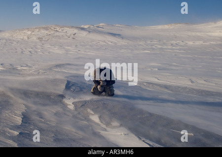 Inupiat Führer Jack Kayotuk schneidet ein Eisblock während Sturm entlang der arktischen Küste Ost Arctic National Wildlife Refuge-AK Stockfoto