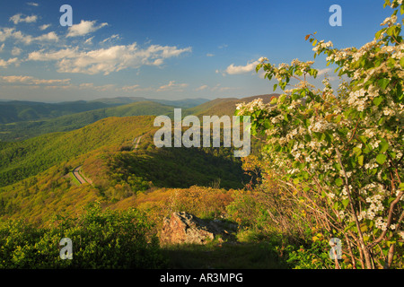 Skyline Drive, gesehen vom Appalachian Trail, kleinen steinigen Mensch-Berg, Shenandoah-Nationalpark, Virginia, USA Stockfoto