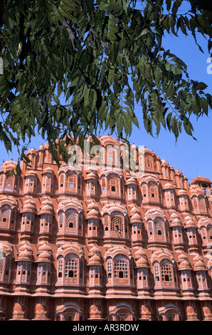 Die komplizierte Fassade des Hawa Mahal Palast (Palast der Winde), Jaipur Stadt IN Stockfoto